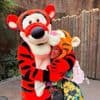 Fast nicht erkannt: Pink lässt in Disneyworld den inneren Tiger raus