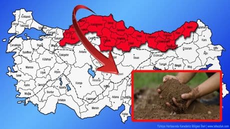 Karadeniz'de korkutan uyarı! Ünlü Profesör açıkladı: 'Toprağın altındaki sinsi tehlike kanser saçıyor!'İşte risk altındaki iller