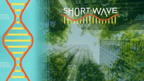 How tech companies could shrink AI's climate footprint
