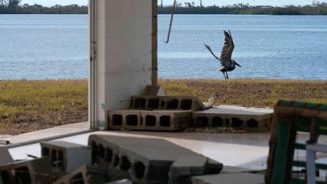 Binnenvertriebene: Mehr Menschen im eigenen Land auf der Flucht – Spitzenreiter USA