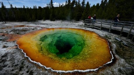 Sieben Tote bei Unfall mit Kleinbus nahe Yellowstone-Nationalpark