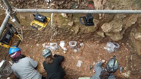 Un descubrimiento en la cueva cántabra de El Castillo estrecha aún más las diferencias de los neandertales con nuestra especie