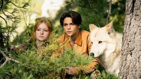 Fantasy-Sensation: Millionen Kinder lesen diese Bücher: Wer steckt hinter dem Phänomen "Woodwalkers"