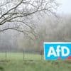 AfD als Mehrheitsbeschafferin: Wo die Brandmauer in Brandenburger Kreistagen Risse bekommt