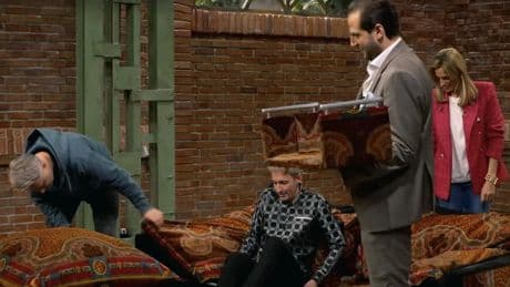 "Bares für Rares": Designer-Sofa sorgt für Begeisterung – dann meldet sich ein Händler zu Wort