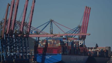 Brasilien schaltet wegen US-Zöllen WTO ein
