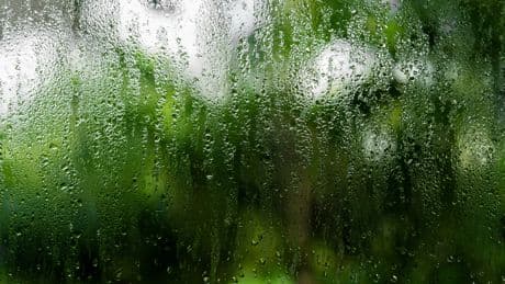 Oh Good: Apparently Opening Windows After Showering Isn't Always A Good Idea