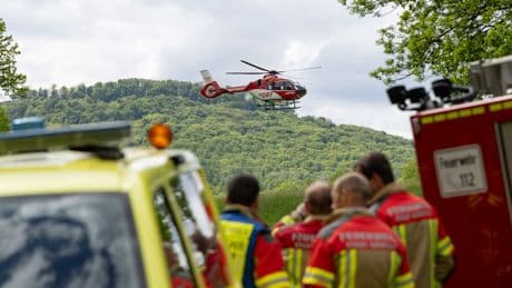 Tödlicher Forstunfall - Mann beim Baumfällen von Ast erschlagen