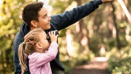 Observación de aves: guía para familias principiantes y curiosas
