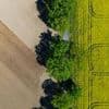 Landwirtschaft: Brandenburger Landpartie: Besucher können Bauernhöfe erleben