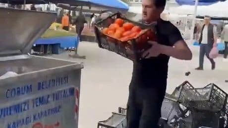 Domatesleri çöpe dökmüşlerdi: Ticaret Bakanlığından açıklama geldi