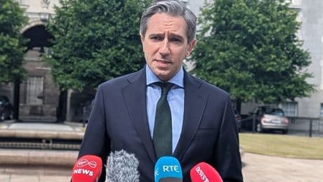 US tariff of 30% on EU could ‘stop trade as we know it’ – Irish foreign minister