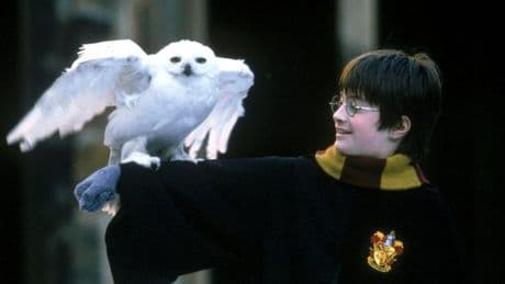 Chris Columbus: 'Home Alone and Harry Potter weren’t meant to be family films'
