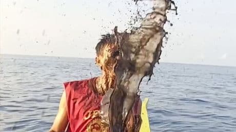„Octopussy“s Rache - Tintenfisch ärgert Fischer zurück