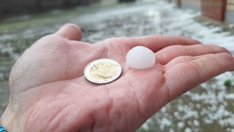 Unas 40.000 hectáreas de cultivo en Lérida, "en situación muy crítica" por una granizada de media hora, con piedras de entre 1 y 2 centímetros