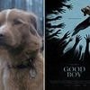 Good Boy: Moviegoers shocked by 'heartbreaking' horror film starring a DOG as the main character