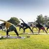 Nos trois idées de sorties de la semaine à Angers et ses alentours
