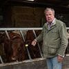 Jeremy Clarkson faces culling his beloved herd of cows after 'devastated' star revealed Diddly Squat has been hit by TB outbreak