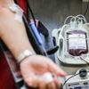 Gesundheit: Gesundheitsministerin ruft Jüngere zur Blutspende auf