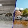 'Rattenkoortsepidemie' in onhygiënisch Sarajevo: 'Draag beschermende kleding'