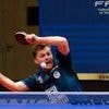 Tennis de table - Pro A. Malgré la frayeur, les Loups d’Angers sont en playoffs
