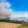 Sachsen und Brandenburg: Waldbrand in Gohrischheide - Ort Heidehäuser evakuiert