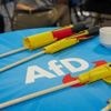 #deutschdenken statt #moderndenken als Landesmotto: AfD in Sachsen-Anhalt will „Stolz-Pass“ einführen