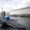 Radioactive water 'leaked into loch' from nuclear base