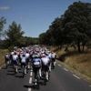 Tour de France. La 19e étape modifiée après la découverte d’un foyer contagieux de maladie bovine