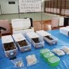 Japanse politie pakt drietal op met duizenden heremietkreeften in hun koffers