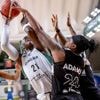 Ligue féminine. « Elle est solide et athlétique » : une première recrue à l’UF Angers Basket