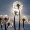 Wetterumschwung: Fast 30 Grad am Maifeiertag - Jetzt folgt Temperatursturz