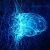 Scientists discover new state of consciousness and how YOU can tap into it