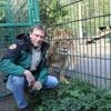 Tot 180 dieren per dag in onderbemande natuurhulpcentra: ‘Als mensen ons bellen voor een dier, kunnen we moeilijk weigeren’