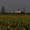 Bijna 150 Oekraïense mijnwerkers vast onder de grond na aanval op kolenmijn • Rusland maakt per dag 1,1 miljoen olievaten minder door aanvallen