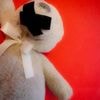 Pédopornographie : des victimes accusent X d’inaction face au partage de contenus illégaux