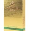 Beloved luxury chocolate brand RETURNS to supermarkets after five years with new viral bar