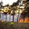 Natuurbranden worden talrijker én intenser. ‘Vuur wordt deel van ons leven'