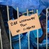 Plus de 2 000 enfants à la rue en France, déplorent des associations