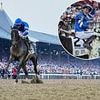 Sovereignty takes thrilling 157th Belmont Stakes one month after Kentucky Derby win
