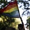 Algerian criminal, 27, with raft of convictions dodges deportation after claiming to be gay and transgender