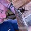 KIJK. Christian brengt nacht in auto door nadat hij nestje van dodelijke spinnensoort in hotelbed vindt