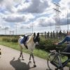 Stroomprijs daalde vorig jaar met bijna een vijfde, prijzen steeds vaker negatief