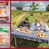 Deze grillworst komt als lekkerste uit onze test: ‘Doe mij nog maar tien plakjes’