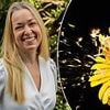 This is why you and millions of others are treating your hay fever wrongly... and the very simple things you should actually do: DR HELEN EVANS-HOWELLS