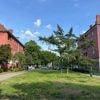 Rosengarten bald mit Rosen: Neugestaltung der eher tristen Grünanlage im Norden Berlins beginnt