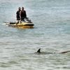 Israel shark attack victim was married dad who was 'warned not to go in water'
