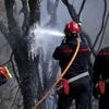 2000 Feuerwehrleute im Einsatz: Waldbrand in Südfrankreich endlich unter Kontrolle