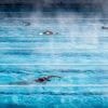 Le club formateur de Léon Marchand annonce ouvrir la Cité de la natation à Toulouse début 2028