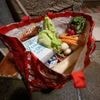 Verbraucher: Essen retten - Berlin will Hürden für Spenden beseitigen